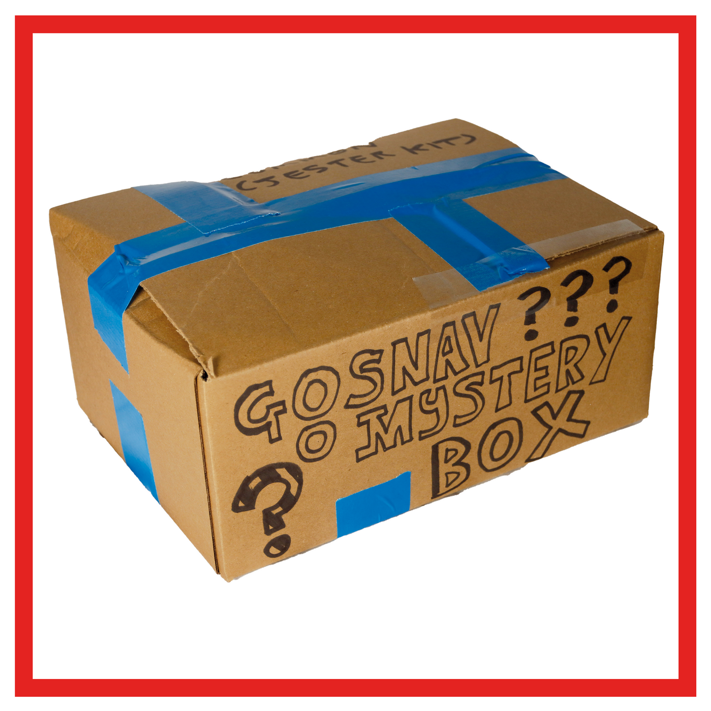 Goosnav Mystery Box